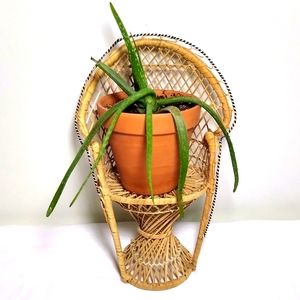 Vintage mini wicker peacock chair